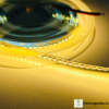 240 LEDs per Meter LED Strip - Warm White (5MTR Roll)