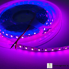 120 Per Meter LED Strip - Pink, 2835 LEDs